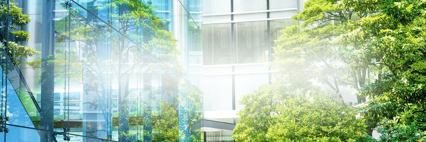 Banner 2