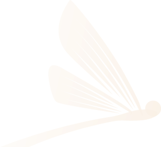 Dragon Fly