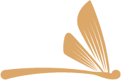 Zenity
